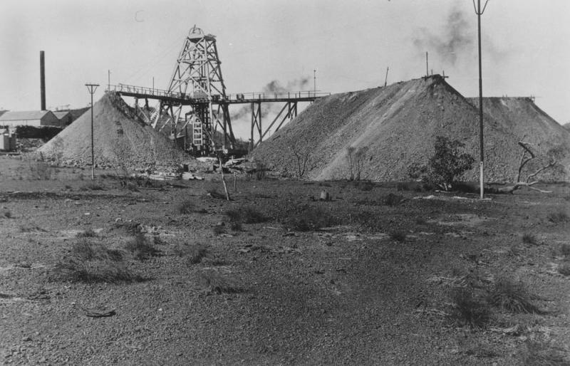 Cazul care face înconjurul lumii. Un copil de 12 ani găseşte o piatră pe care familia o foloseşte ani de zile ca opritor de uşă. Cum a ajuns obiectul să valoreze 80 de milioane de dolari