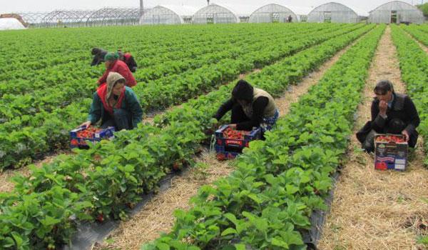 Scrisoarea disperată a unui adolescent român: „Vă scriu fiindcă aţi scris un articol despre o femeie care nu şi-a văzut fiul lăsat în România de nouă ani. Mama mea e în Italia şi nu am văzut-o de 12 ani!”