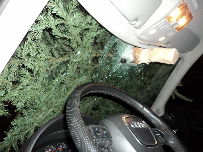 Un român și-a aruncat bradul de Crăciun direct în parbrizul unui șofer: „Imaginează-ți că poate treci singur sau cu copilul și îți sparge capul un brad aruncat de la etaj!”