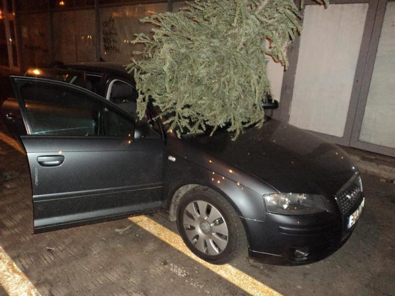 Un român și-a aruncat bradul de Crăciun direct în parbrizul unui șofer: „Imaginează-ți că poate treci singur sau cu copilul și îți sparge capul un brad aruncat de la etaj!”