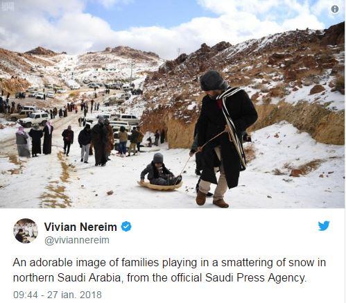 Fenomen rar! Deşertul din Arabia Saudită și cămilele au fost acoperite de zăpadă! Imagini inedite!