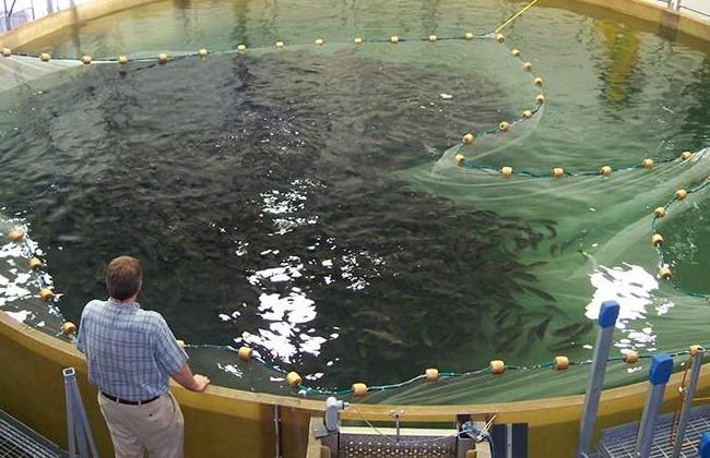 Se dau bani de la Uniunea Europeană pentru o afacere profitabilă! Finanțările sunt cuprinse între 5.000 și 80.000 de euro