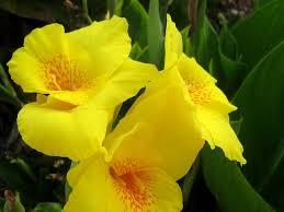 Ziua Îndrăgostiților 2019. Cum să-ți găsești perechea de Valentine`s Day