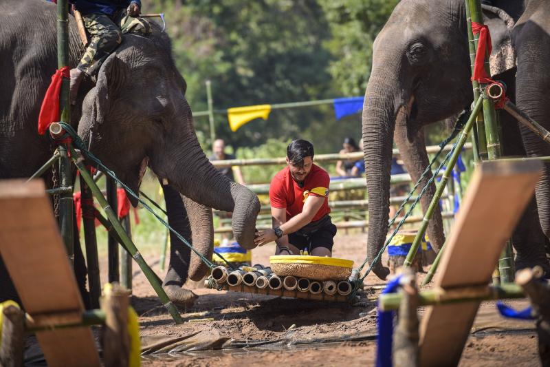 Astăzi, ora 20.00, la Antena 1, spălat de elefanți, gătit carne de șarpe sau tatuaje permanente, printre probele din „Asia Express"