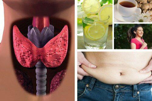 Slăbești 20 de kilograme într-o lună cu DIETA PENTRU HIPOTIROIDIE