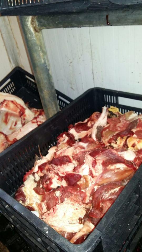 VIDEO! Carne expirată de o lună sau depozitată în spaţii insalubre. Imagini șocante care au stârnit revoltă pe internet!