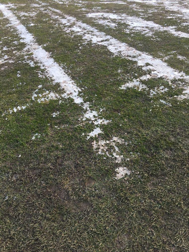 ULTIMA ORĂ! Meciul Hermannstadt - FCSB a fost amânat! Când se va juca ”sfertul” din Cupa României