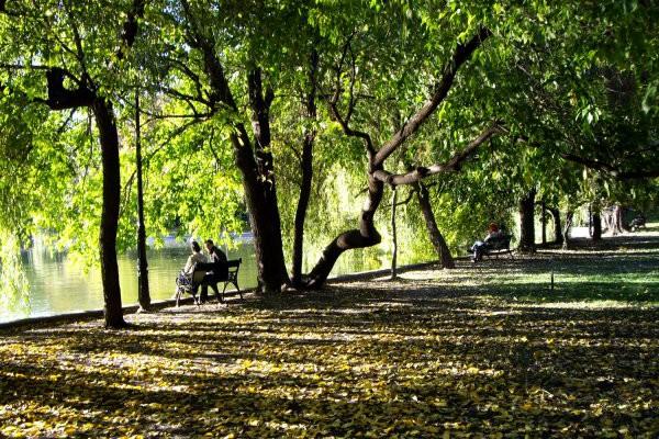 Pe lângă o dietă, aceste CINCI lucruri te ajută să slăbești. Fă-le înainte de culcare