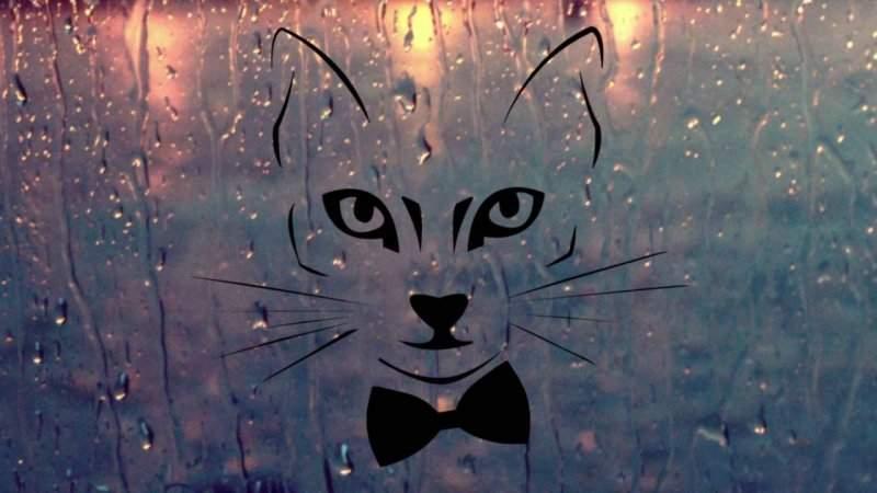 Solistul trupei ”The Motans, sinceritate maximă: „Sunt singur! De fiecare dată găsesc ceva mai interesant în ceea ce a fost!” Cum arată fata ideală