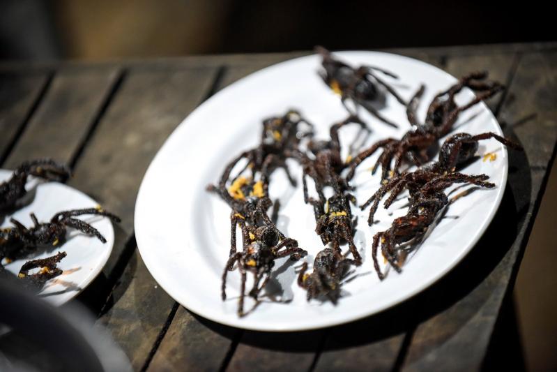 Cele mai înfricoşãtoare probe din ,,Asia Express: concurenții vor căra pe ei tarantule vii și se vor tatua într-un templu budist