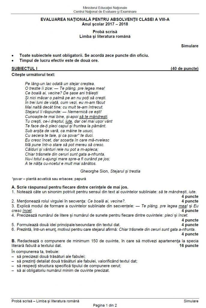 Subiecte Simulare Evaluarea Națională 2018. CE s-a dat la Limba română
