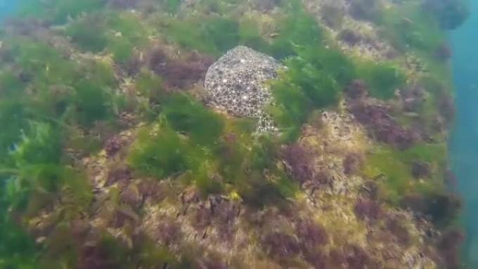 Efecte DRAMATICE pe litoral. Calota glaciară DISPARE BUCATĂ CU BUCATĂ. NASA avertizează asupra noilor fenomene