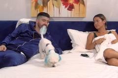 Like A Star Antenastars Ro