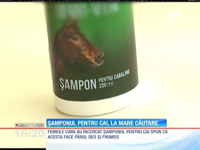 Par Frumos Sanatos Si Stralucitor Sampon Pentru Cai