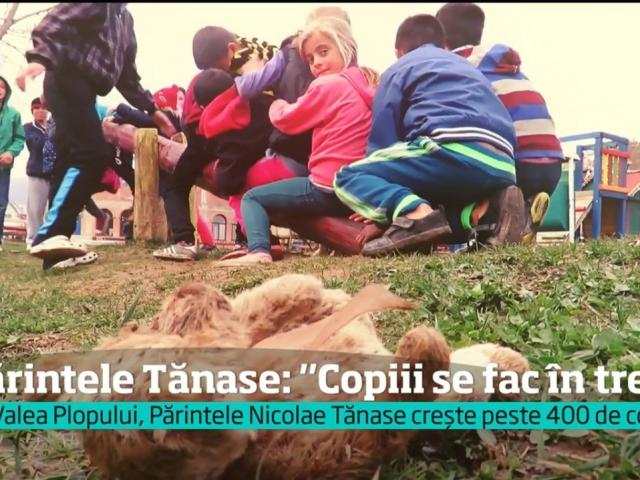 Au Furat Alimentele De La Gura A Sute De Copii Orfani Ingrijiți La Valea Screzii De Părintele Nicolae Tănase Mdi Tv