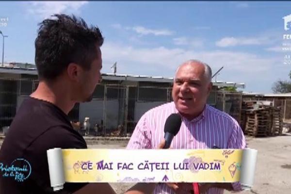 Vadim și Admnistratorul Blocului Vrei Să Plătesc Fondul De Rulment Video Antena 1