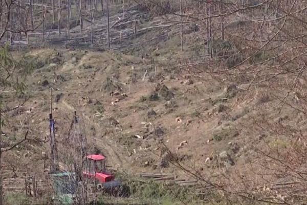 Informații Despre Cheia