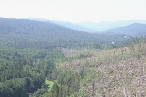 Informații Despre Cheia