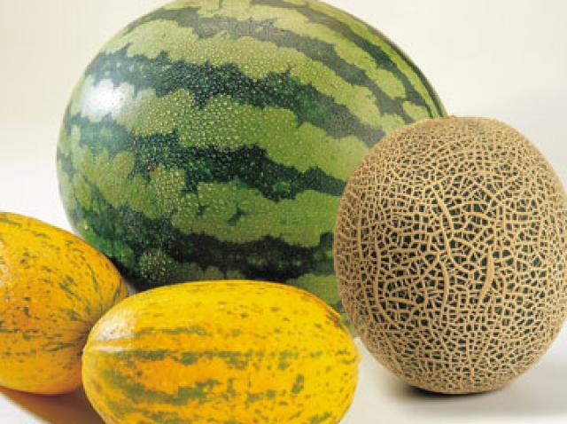 Dieta Cu Pepene Galben Si Rosu Ideala Pentru Silueta Antena 1