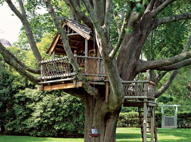 Casutele Din Copac Atat Pentru Copii Cat Si Pentru Adulti Antena 1