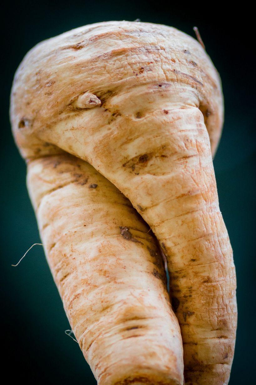 morcov penis dacă erecția dispare