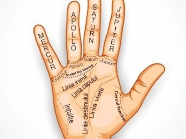 Uită Te Bine In Palmă Citeste Bine Linia Vieţii Si Află Caţi Ani Vei Trăi