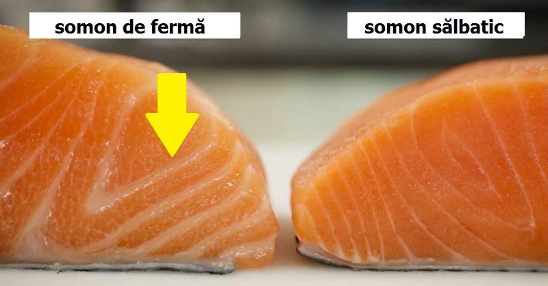 Cum alegi CORECT somonul! Toți clienții fac această greșeală și plătesc scump!