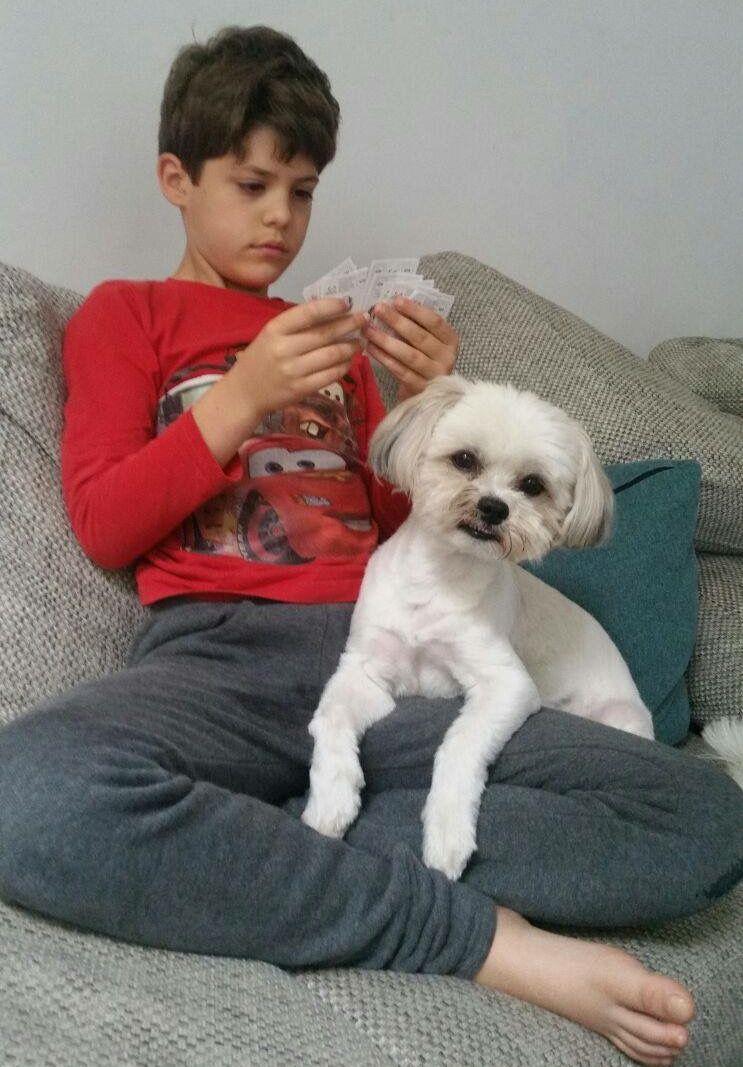 Tavi Colen, dezvăluire surprinzătoare la ”Stăpânii vedetelor”: ”La mine în casă nu e loc de doi șefi”