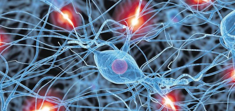 Ce se întâmplă în creierul uman atunci când suntem sub anestezie generală