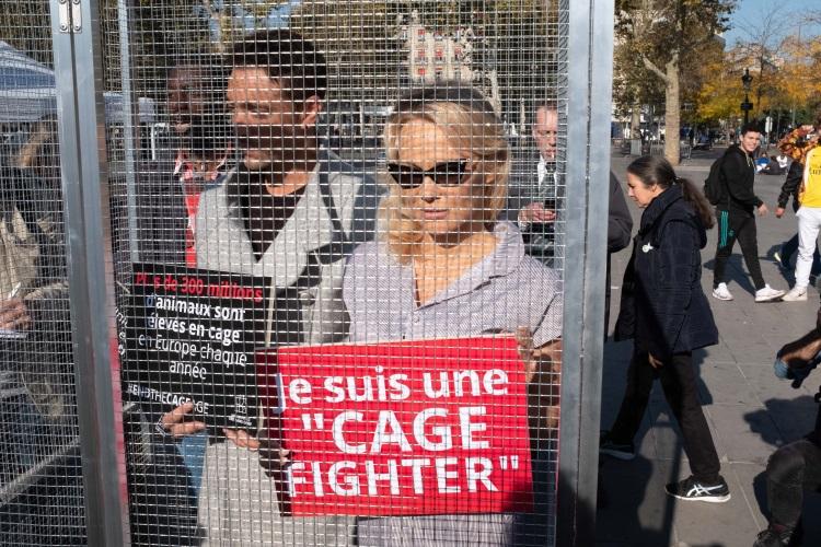 Actrița Pamela Anderson a fost închisă într-o cușcă. Motivul pentru care s-a întâmplat asta: “este o cauza care mă emoționează”