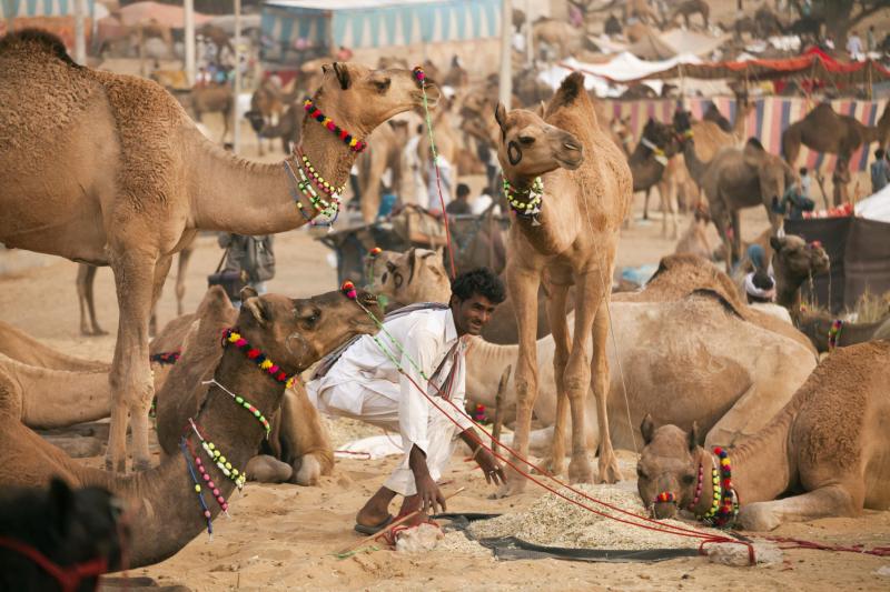 Mirodenii, spiritualitate, ciudăţenii! La ce se pot aştepta concurenţii din "Asia Express" în călătoria prin India - tărâmul tradiţiilor
