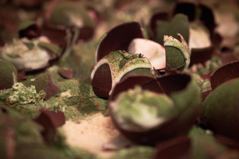 Ștrumfii Jedi au făcut spectacol internațional! Robert, Gabi și Bogdan au făcut echipă și au ridicat gătitul la rand de ARTĂ!