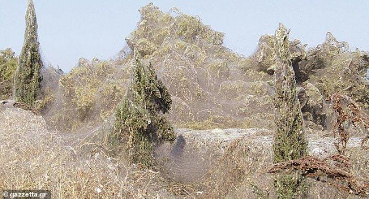 Oamenii spun că e începutul Apocalipsei! Un lac și o localitate din Grecia, acoperite de o pânză de păianjen gigantică