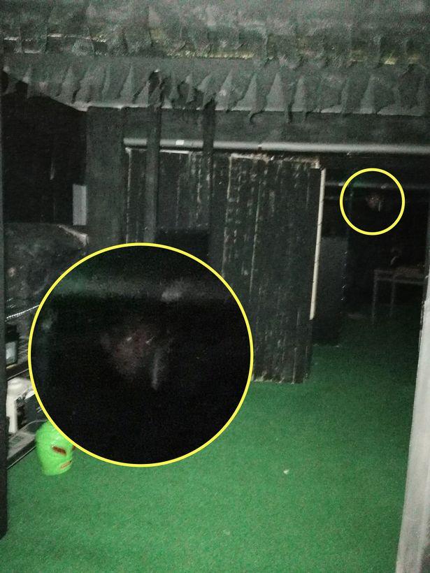 Turiștii se plimbau printr-un abator bântuit când ceva paranormal s-a întâmplat! Ce a apărut