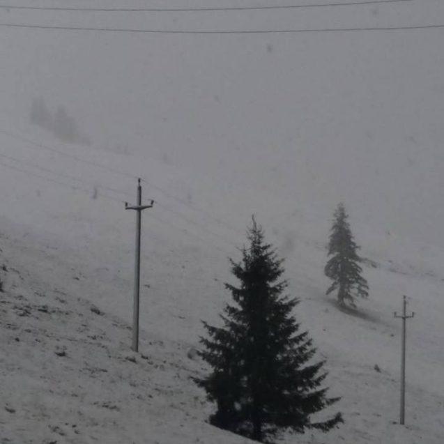 Vremea a luat-o razna complet! Ninsori abundente și viscolite, în mai multe regiuni din țară! Zona în care STRATUL de ZĂPADĂ a atins ZECE CENTIMETRI