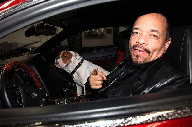 Arestat și amendat în aceeași zi! Motivul banal pentru care un celebru artist a fost încătușat: “Poliţiştii au mers un pic cam departe”