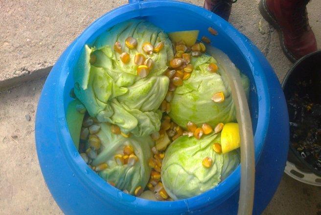 De Sfântul Dumitru se pune varză la murat! Cea mai bună rețetă de varză acră la butoi