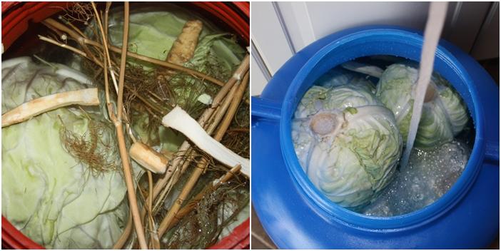 De Sfântul Dumitru se pune varză la murat! Cea mai bună rețetă de varză acră la butoi