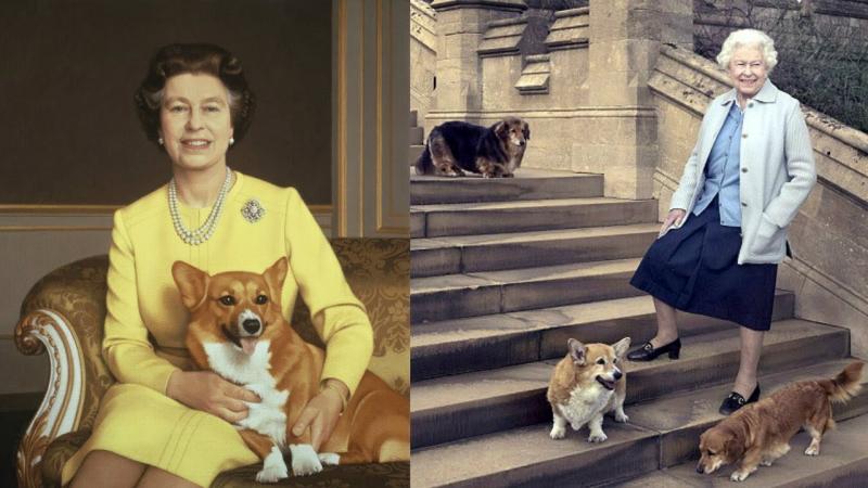 DURERE în Familia Regală Britanică! Regina trece prin momente CUMPLITE! Ce se întâmplă