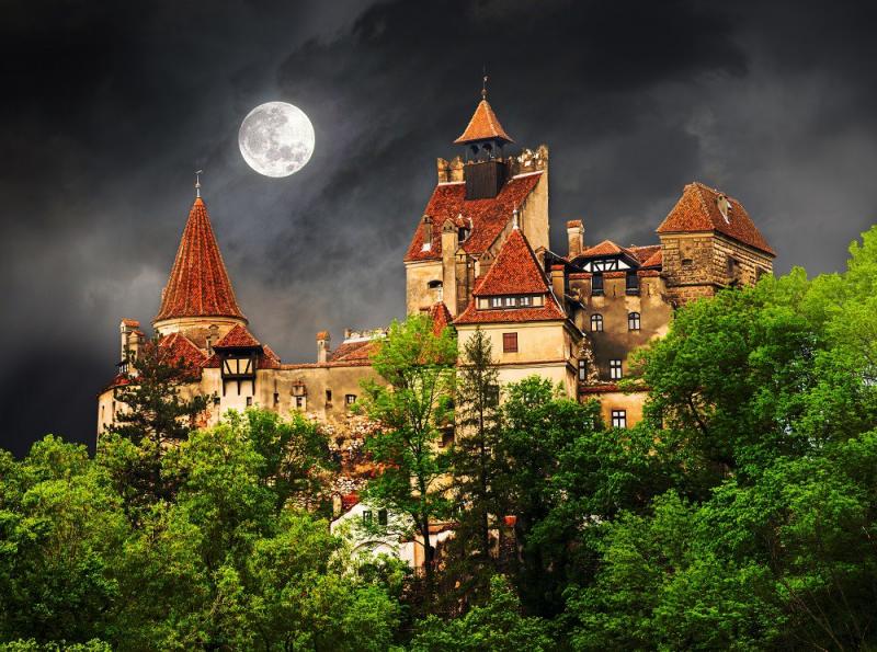 Imagini pentru Castelul Bran
