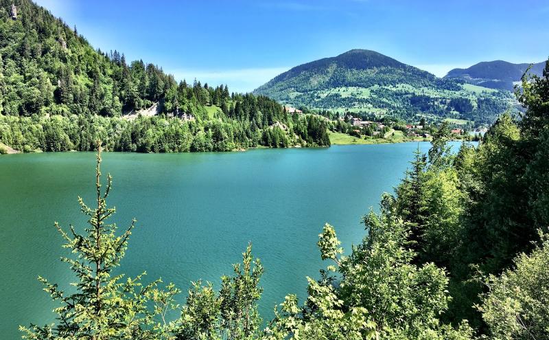 Pericol imens! Barajul de la Colibița are infiltrații, e fisurat, iar pompele nu mai merg. ”Trebuie golit, dar ucidem 19 specii de pești!” Totul e mort în zonă pentru doi ani!