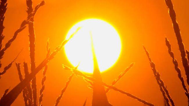 Omenirea, în fața unui pericol URIAȘ! Avertismentul este dur: „O să ne coste 147 de milioane de vieți”