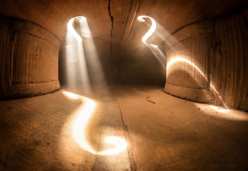 Un artist român a devenit celebru în întreaga lume după ce a făcut publice poze care surprind interiorul unor instrumente muzicale. Imaginile au ajuns virale!