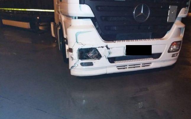 Accident ULUITOR pe autostrada A1! Un urs a intrat pe carosabil și a fost lovit de un TIR