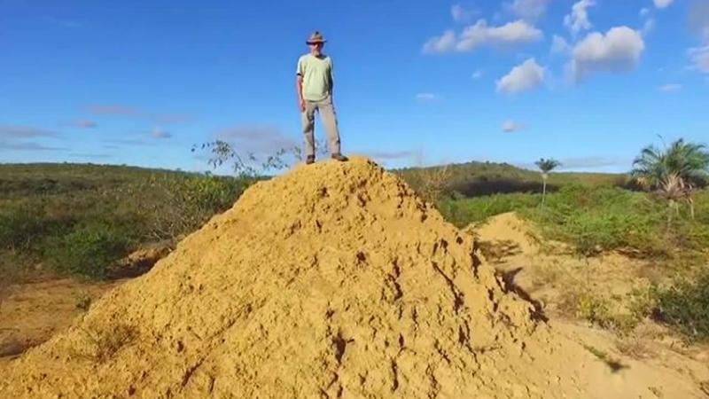 SENZAȚIONAL: Au descoperit un teritoriu cât România, plin de mușuroaie vizibile din spațiu. 200.000.000 de movilițe vechi de 4.000 de ani!