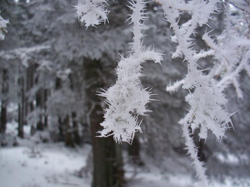 Cod GALBEN în România! Meteorologii au anunțat ce se întâmplă cu vremea