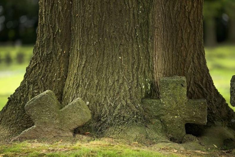 Ce frumos! Ce trist! Aici au murit 9.000.000 oameni. Cum arată, azi, locurile Primului Război Mondial...