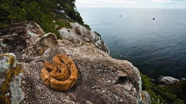 5 locuri misterioase din lume la care NU vom putea ajunge niciodată! Accesul la ele este STRICT INTERZIS