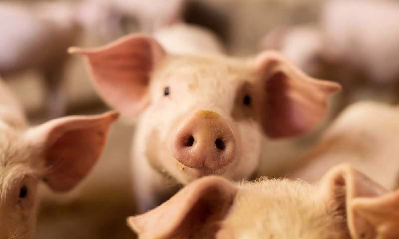 Românii, neputincioși în fața dezastrului! Ce anunță specialiștii