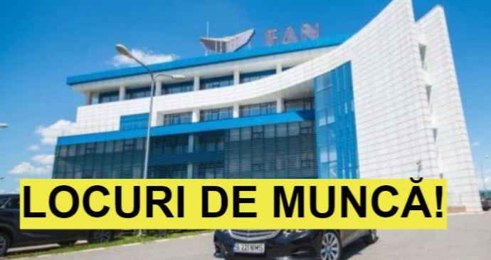 Se Fac Angajări In Acest Domeniu Oferim Salarii De 1 000 De Euro